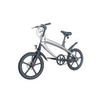 Cruzaa Metal Grey Electric Bike With 25 km/h Top Speed